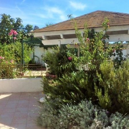 וילנב-לה-מגלון Appartement 3 Chambres Proche Mer Entre Palavas Les Flots Et Frontignan Plage Dans Maison Avec Jardin מראה חיצוני תמונה